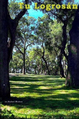 alcornocal01 alcornocal01