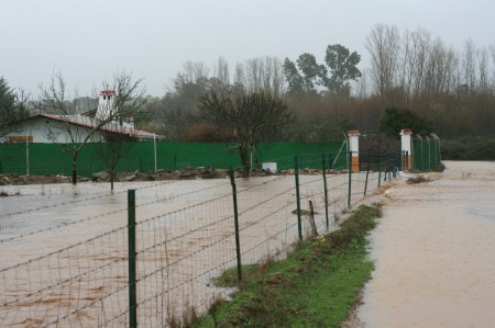 camino_rio_desordado