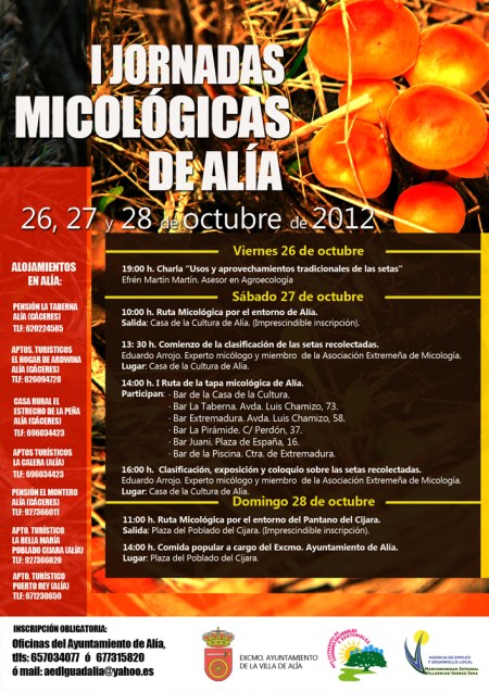 CARTEL I JORNADAS MICOLOGICAS-MEDIA