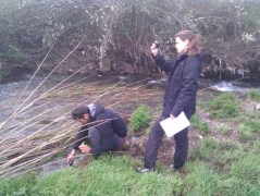 buscadores de oro (2)