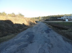 Carretera de Berzocana (9)