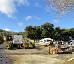 Mecadillo de hoy. Lejos de la zona del peligro. (María Romero)