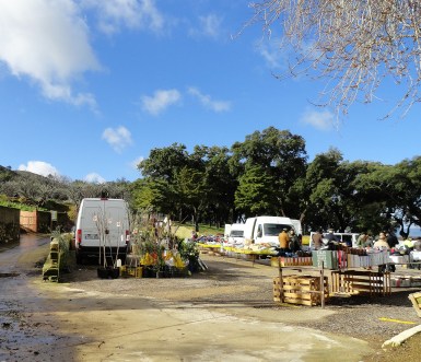 Mecadillo de hoy. Lejos de la zona del peligro. (María Romero)
