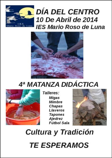 dia centro IES ROSO DE LUNA _2014