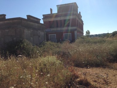 Fotos: J. M.Alberca.