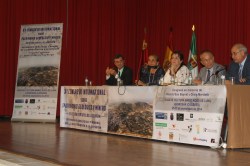 CONGRESO INTERNACIONAL (205)