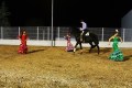 ESPECTACULO ECUESTRE (295)