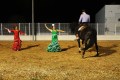 ESPECTACULO ECUESTRE (298)