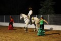ESPECTACULO ECUESTRE (304)