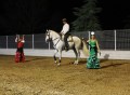 ESPECTACULO ECUESTRE (306)