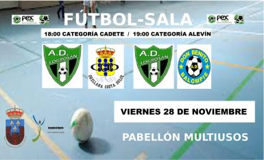 FÚTBOL SALA 281114