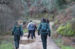 brigadas voluntarias de busqueda (1)