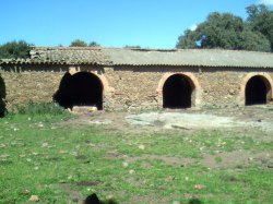 My beautiful picture