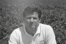 Fernando Sanromán Plaza