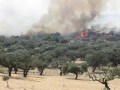 INCENDIO EN LOGROSÁN 1 (41)