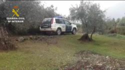 guardia civil olivar