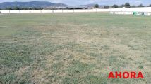 campo fútbol abandono (12)