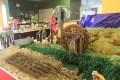 BELÉN PARTICIPATIVO (5)