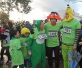 SAN SILVESTRE 17&nbsp;(817)