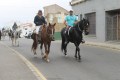 CABALLOS 19 (40)